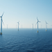 UK offshore wind budget slashed by £200M, analyst warns of missed targets