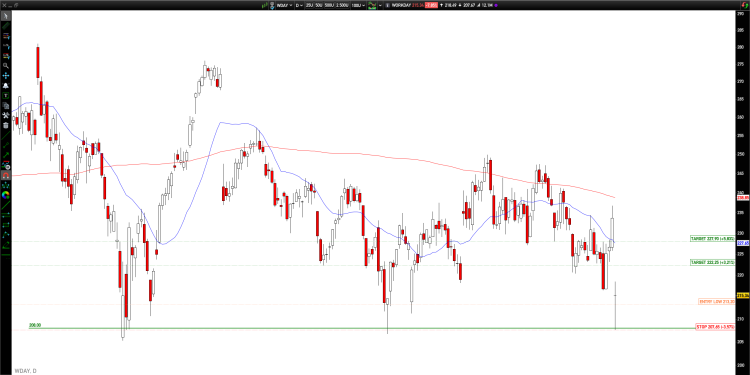 Long WDAY: Deep flush into support sets up technical rebound