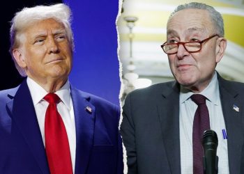 Trump, Schumer find rare common ground on releasing UFO files